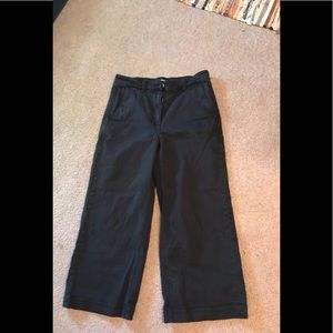 Everlane Wide Leg Crop